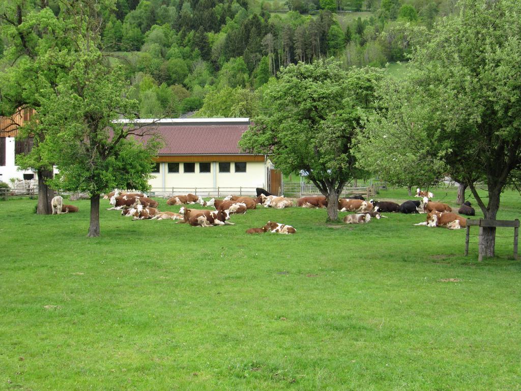 Апартаменты Donisbauerhof Лизербрюкке Экстерьер фото